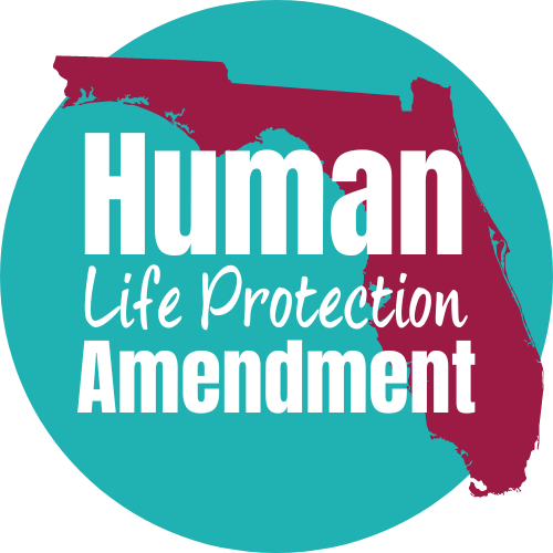 What is the Human Life Protection Amendment?