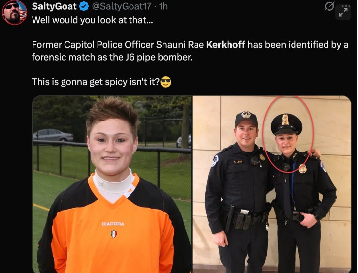 WOW! – Did DNC Pipe Bomber Have Ukraine Ties?